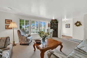 Living area with carpet flooring, crown molding, and a textured ceiling