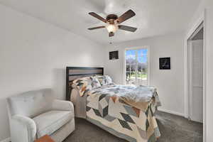 Bedroom with access to exterior, ceiling fan, carpet, a closet, and a textured ceiling