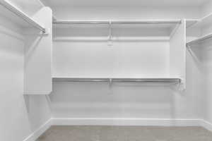 Spacious closet featuring carpet flooring