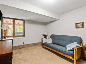 Sitting room featuring light colored carpet and a textured ceiling