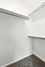 Walk in closet with carpet