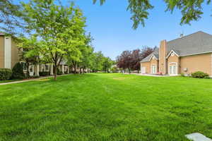 View of green lawn