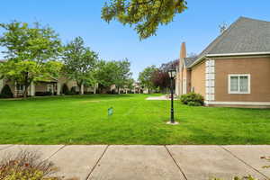 View of grassy yard