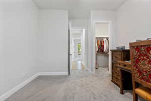 Bedroom featuring a walk in closet and light carpet