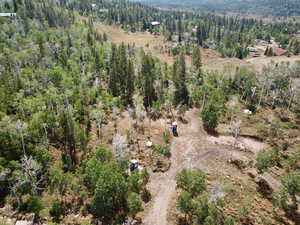 Drone / aerial view of a heavily wooded area