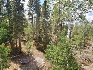 View of undeveloped land