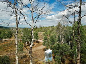 View of local wilderness