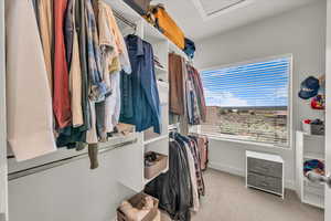 Spacious closet featuring light carpet