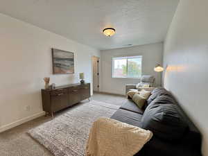 Living area featuring carpet flooring and a textured ceiling