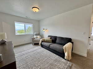 Living room with carpet floors and a textured ceiling