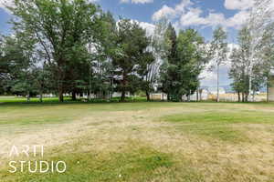View of green lawn