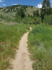 View of road with a view of countryside