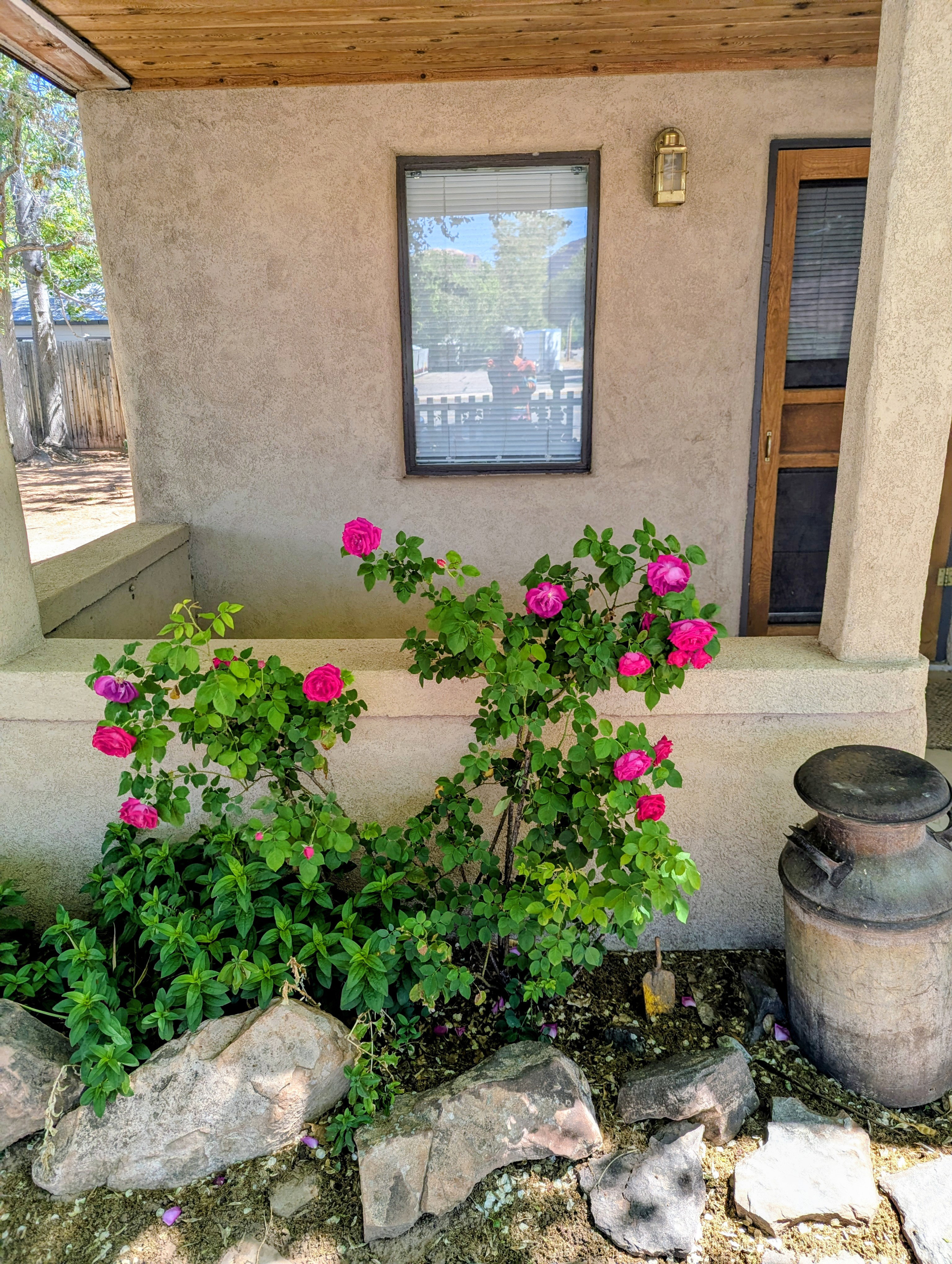 Exterior view of stucco siding