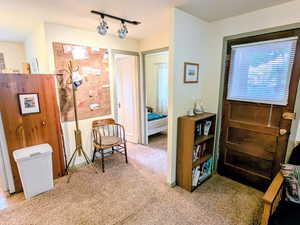 Sitting room with carpet floors and track lighting