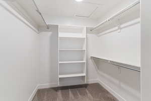Spacious closet featuring dark colored carpet and attic access