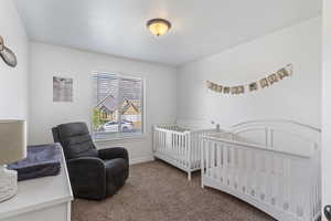 Bedroom featuring carpet floors and a nursery area