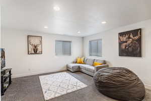 Living room featuring carpet flooring and recessed lighting