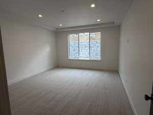 Unfurnished room featuring light colored carpet, recessed lighting, and a raised ceiling