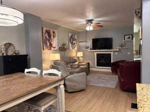 Living room with light wood-type flooring, a glass covered fireplace, and a ceiling fan
