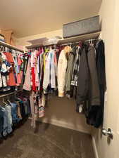 Spacious closet featuring dark colored carpet