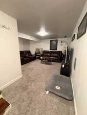 Living area with carpet