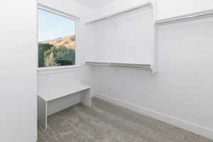 Walk in closet featuring light colored carpet