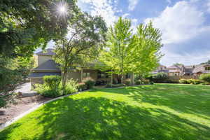View of grassy yard from north side of property