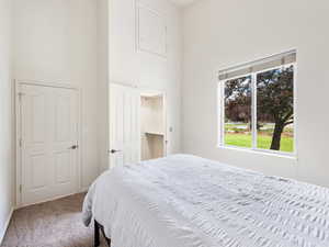 Bedroom 2 featuring carpet floors, a towering ceiling, and a walk in closet, Very large Storag Above the Closet!
