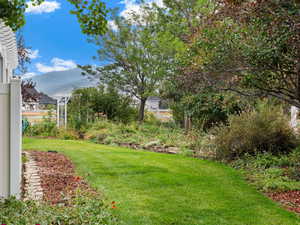 View of east side yard looking North with a mountain view