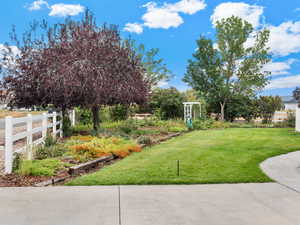 View of the Front yard