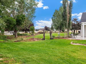 West Side looking North