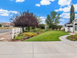 View of the Front yard