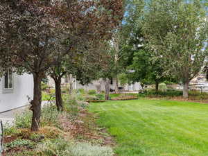 West Side looking South