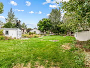 View of the Backyard..