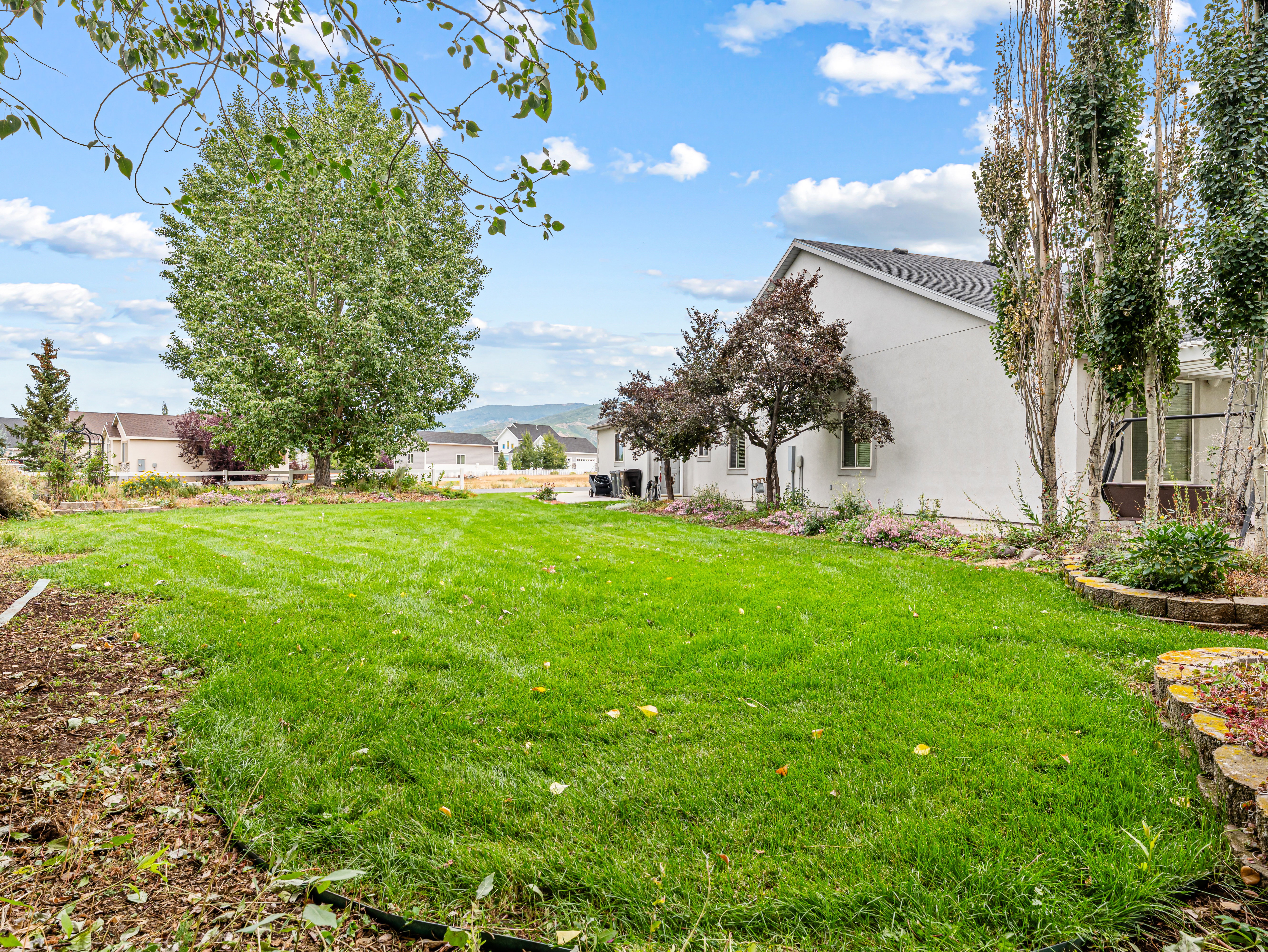 West Side yard..