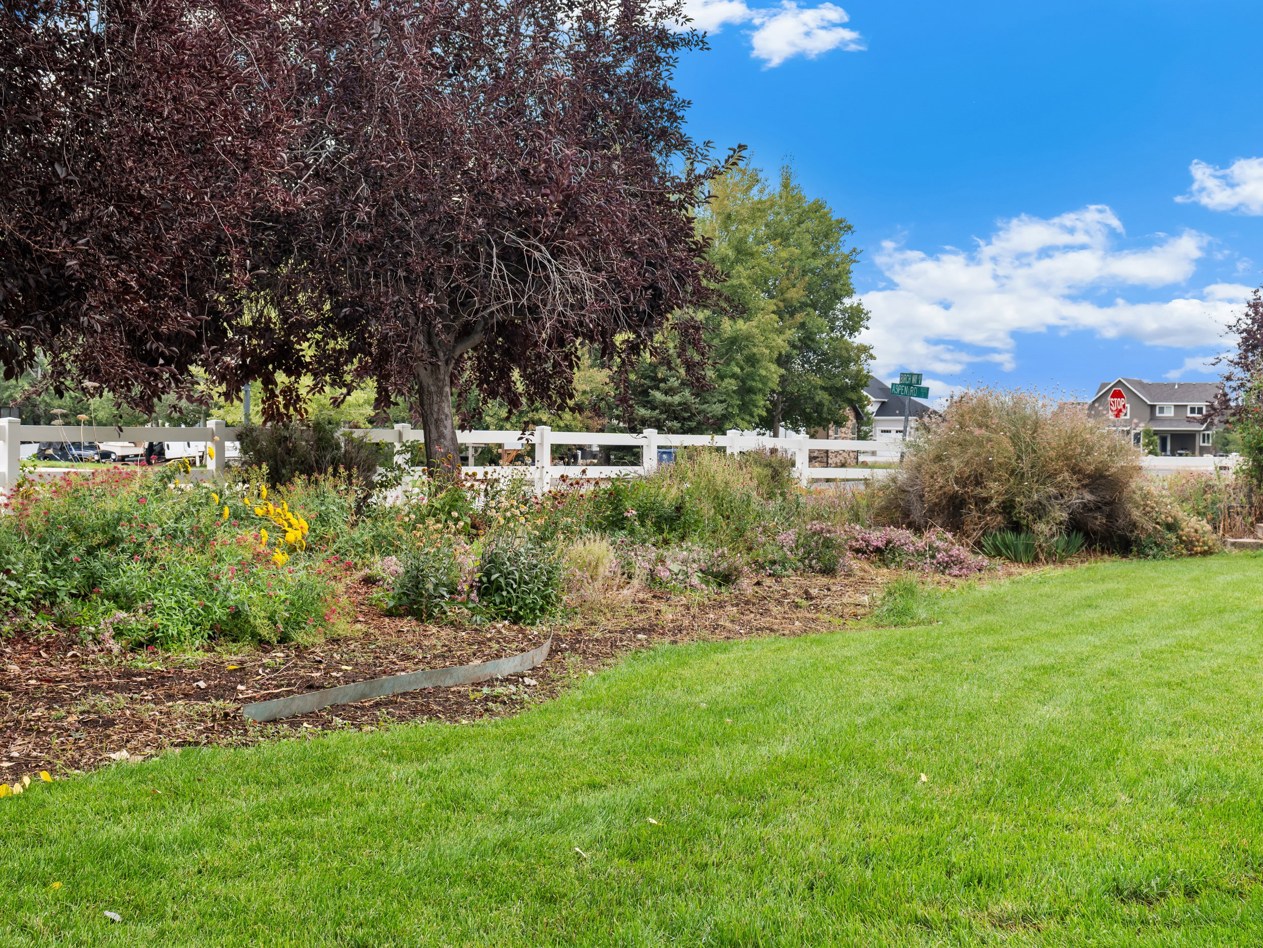 West Side Yard