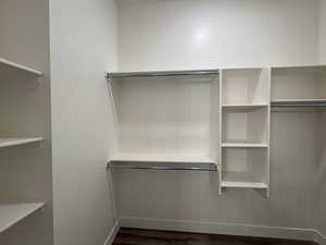 Walk in closet with dark wood-style flooring