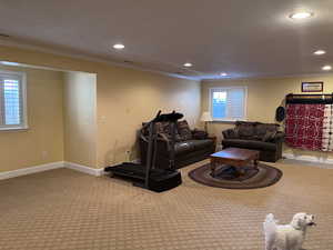 Basement Gathering area with crown molding, recessed lighting, and light carpet