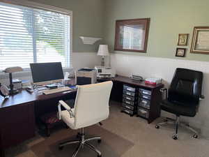 Office/Bedroom space featuring a wainscoted wall and light colored carpet