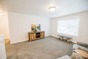 Sitting room with carpet flooring and baseboards