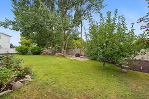 View of fenced backyard