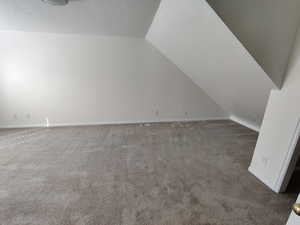 Additional living space with a textured ceiling, carpet floors, and vaulted ceiling
