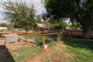View of yard featuring a garden