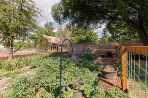 Fenced backyard with a garden