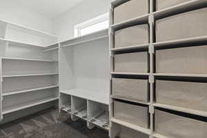 Spacious closet featuring dark carpet