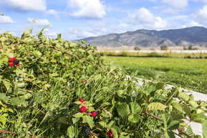 View of mountain backdrop with rural landscape