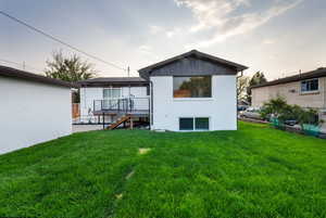 Back yard