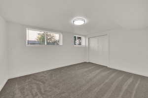 Basement 4th bedroom
