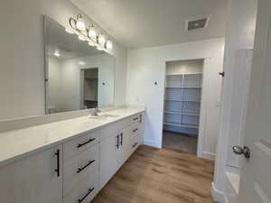 Bathroom with vanity, a spacious closet, and light wood finished floors