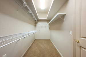 Walk in closet with light colored carpet